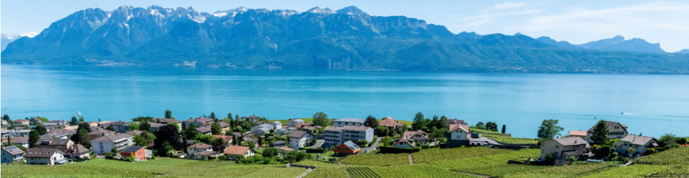 VAUD/VALAIS CHAPTER